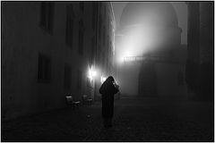 фото "night moves"