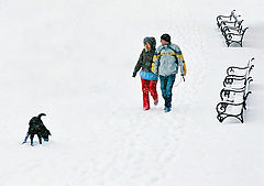 photo "Snowblind"