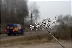 фото "Радар."