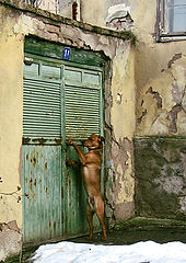 фото "Open the door!!!"