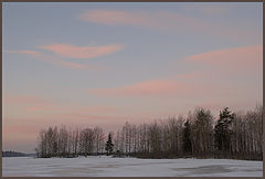 photo "The feather."