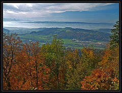 фото "UETLIBERG"