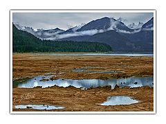 photo "Puddles"