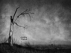 photo "*"