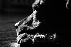 photo "Old Age Ahead"