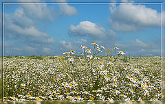 photo "The fallen clouds"