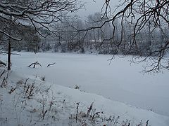 фото "Графика безмолвия (6)"