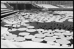 photo "Ice Round Dance"