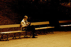 photo "reader"