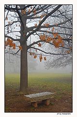 photo "colori"