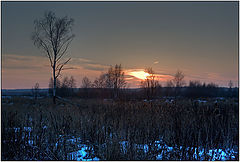 photo "Twilight before New year"