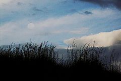 photo "+++"