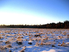 photo "***"