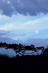 photo "+++"