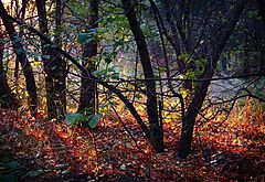 photo "***"