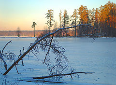 фото "Зимний день"