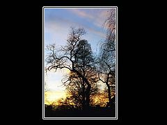 фото "***"