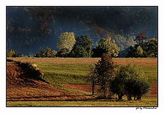 photo "colori"
