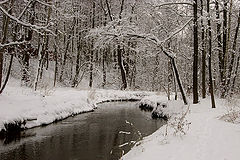 photo "***"
