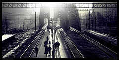 фото "Train to ..."