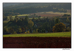 photo "colori"