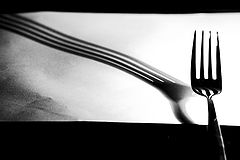 photo "Shadows"