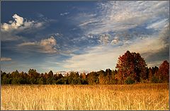 фото "под Жуковкой"