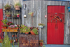 photo "The Red Door"