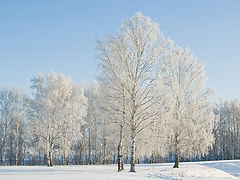 фото "Ансамбль."