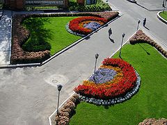 photo "Landscape design"