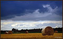 photo "last summer"