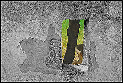 photo "The Wall."