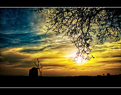 photo "***"