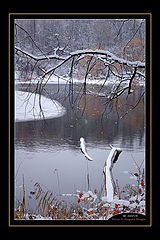 photo "Winter arting"