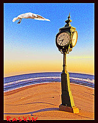 photo "Seagull and clock"