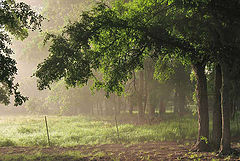 photo "***"