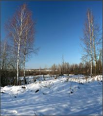 photo "January symmetry"