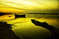 photo "Golden Waters"