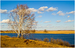 фото "На пригорке у синей воды"