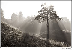 фото "рассвет"