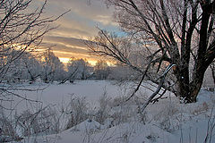 photo "***"