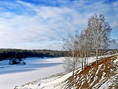 фото "Русские берёзы"