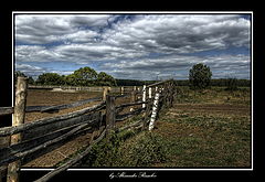 photo "***"