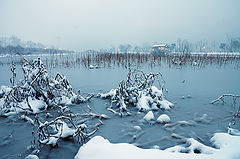 photo "Snowy lake"