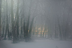 photo "***"