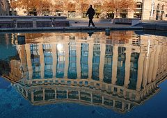 photo "Upside down"