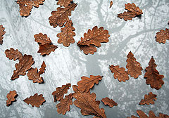 photo "Autumn in Berlin"