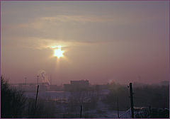 photo "Звезда по имени Солнце."