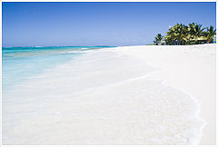 photo "Just Paradise"