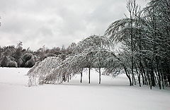 photo "Ice Storm"